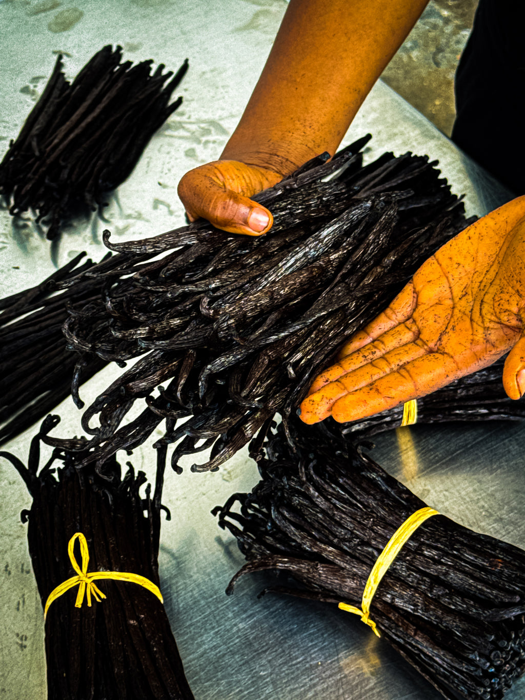 gousse de vanille de Madagascar - 500g - 15/20cm