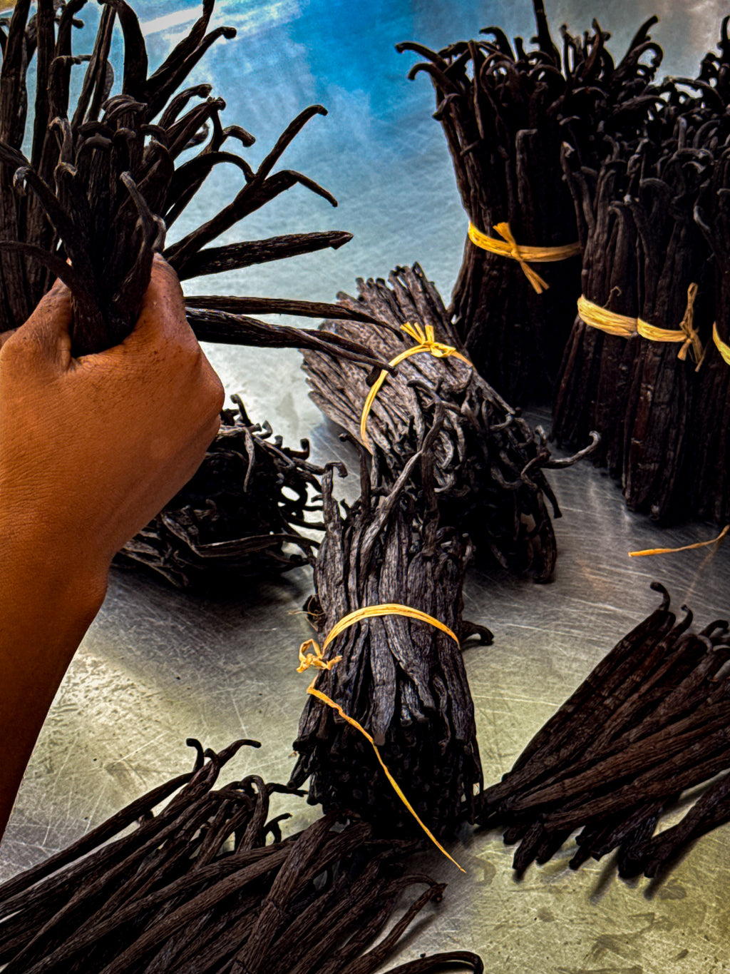 gousse de vanille de Madagascar - 500g - 15/20cm