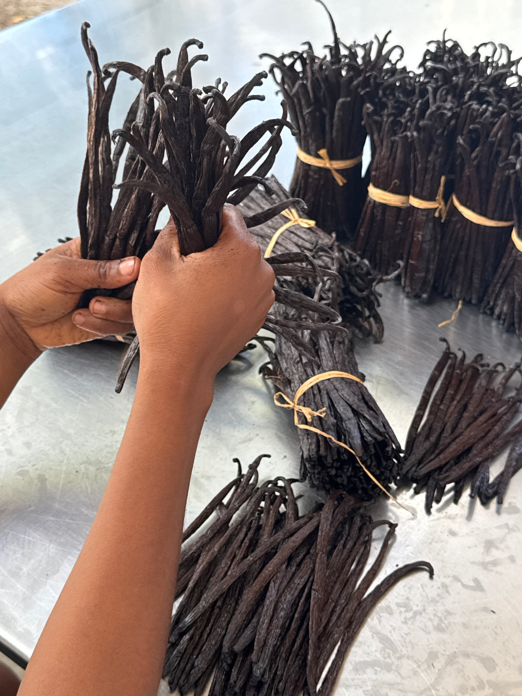 gousse de vanille de Madagascar - 500g - 15/20cm