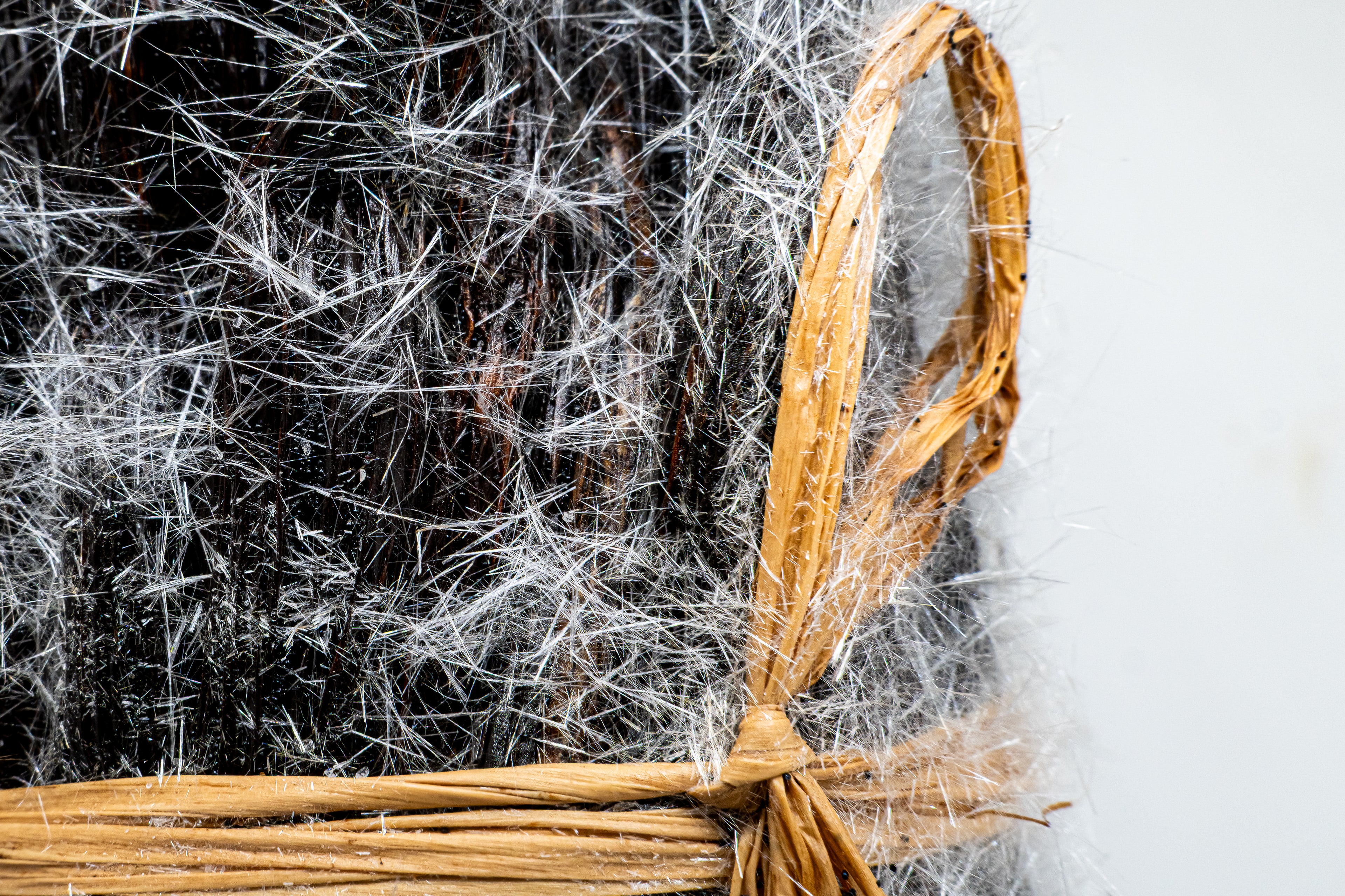 Gousse de Vanille Givrée de Madagascar - 250g