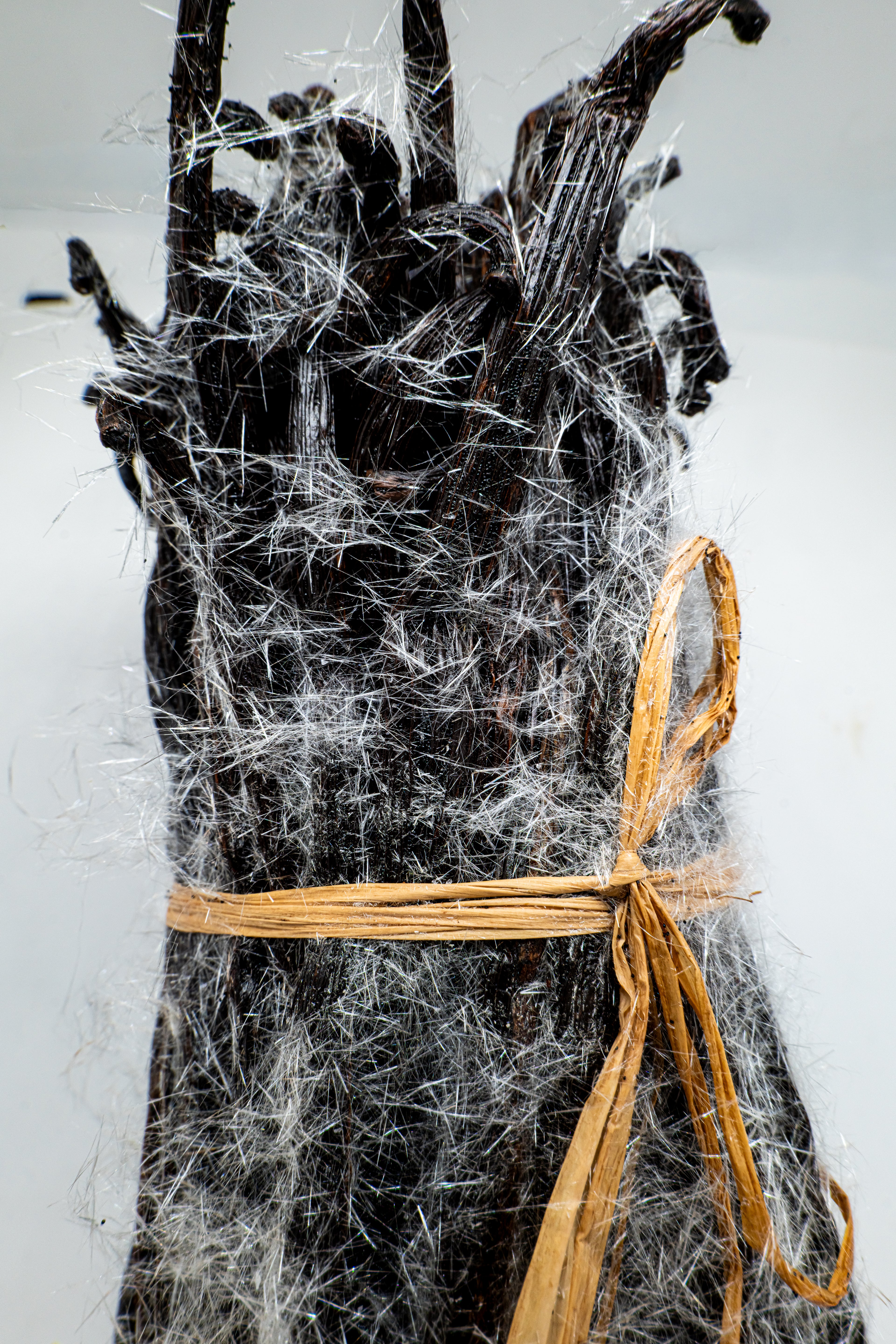 Gousse de Vanille Givrée de Madagascar - 250g