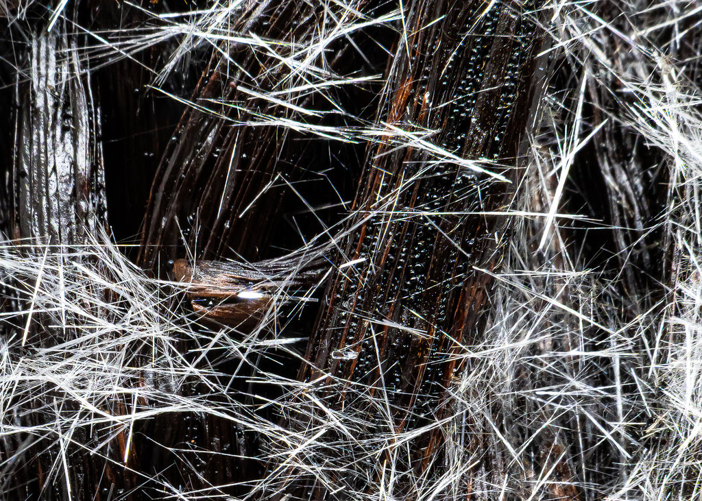 Gousse de Vanille Givrée de Madagascar - 250g