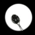 caviar de vanille