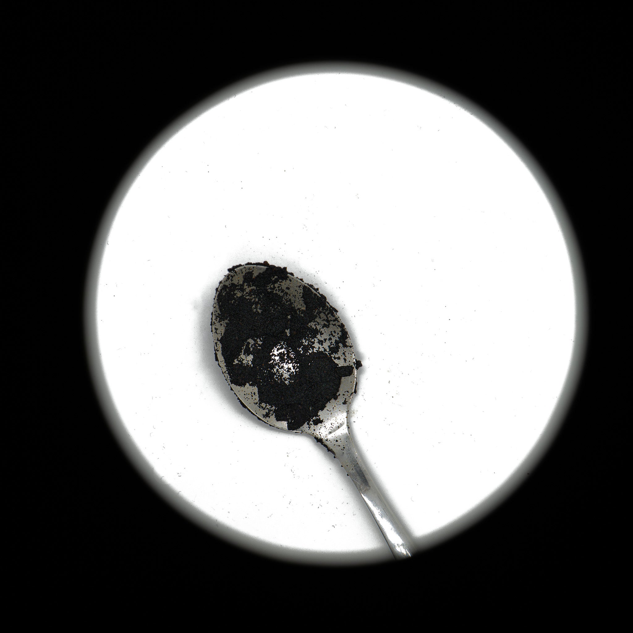 caviar de vanille