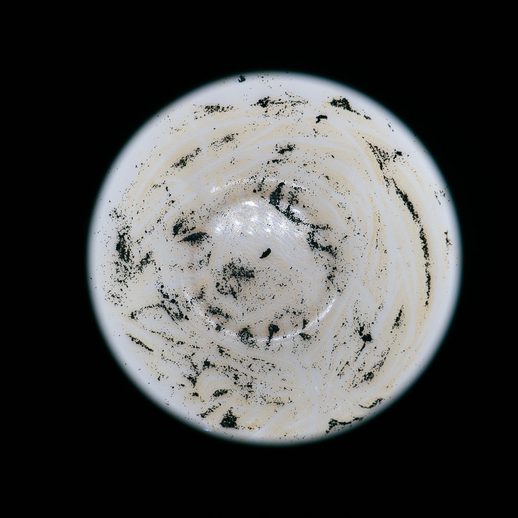 caviar de vanille